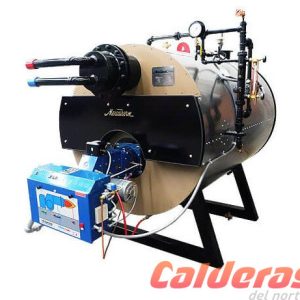 Tipo Semi Wetback (SWB-IC)