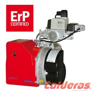 Quemadores Ecoflam MAX GAS ERP