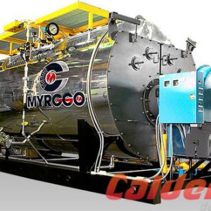 MODELO WETBACK
